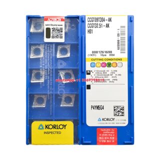 CCGT09T304-AK H01
