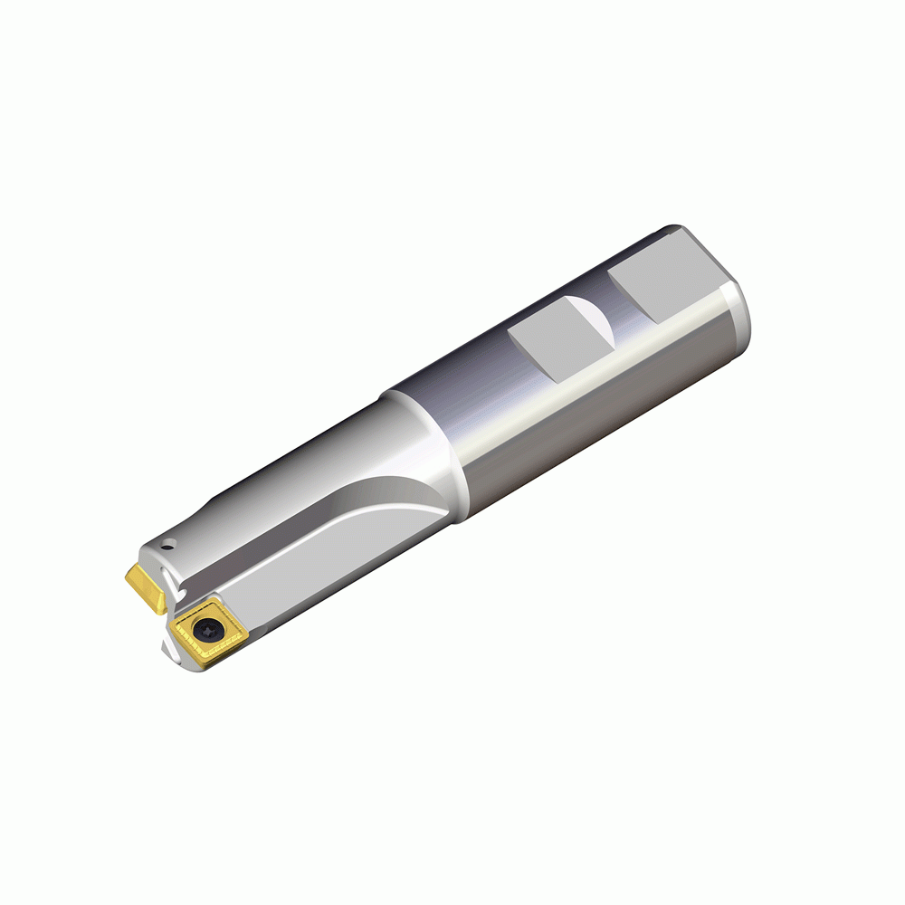 Original TaeguTec W25-06 Cutting Tool TDM 222 TDM 222 W25-06