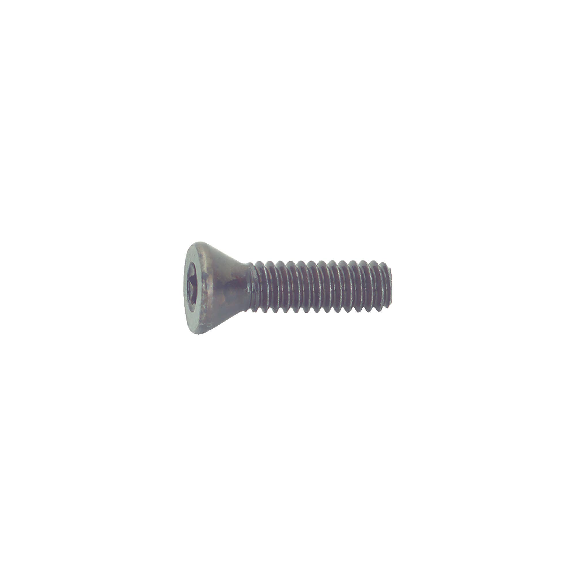 Carmex 100% Original - S27, Torx® Screw, S27 1 pcs Carmex Screw S27