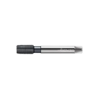 Original Walter TC420-M12-L1-WW60BA Tap