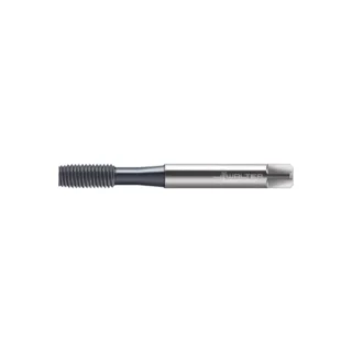 Original Walter TC420-M10-EF-WW60BA Tap