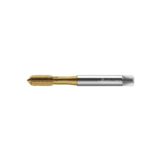 Original Walter TC420-M5-C6-WW60AD Tap