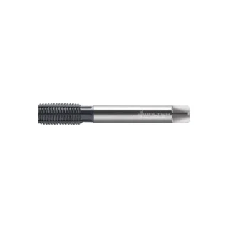 Original Walter TC430-M12X1 Tap TC430-M12X1.25-L6-WW60EL