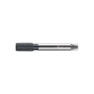 Original Walter TC420-M24-L2-WW60BA Tap