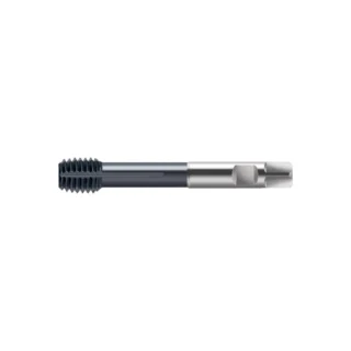 Original Walter S2066306-M12 Tap