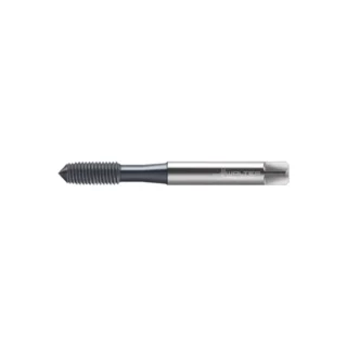 Original Walter TC420-M5-E0-WW60BA Tap