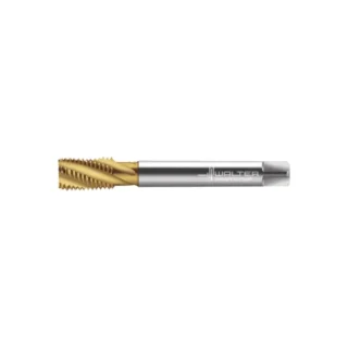 Original Walter 2156315-M12X1 Tap