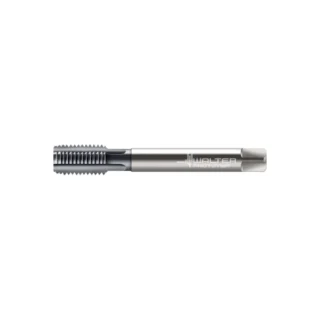 Original Walter E2136466-M12X1 Tap