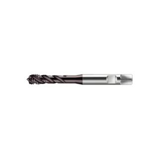 Original Walter HSS-E Tap S2456302-G1/8