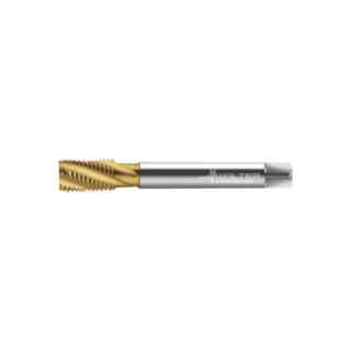 Original Walter HSS-E Tap 2456315-G1/4