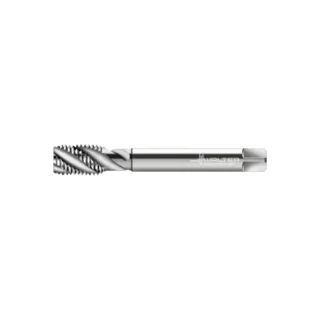 Original Walter P215599-EGM10X1 Tap