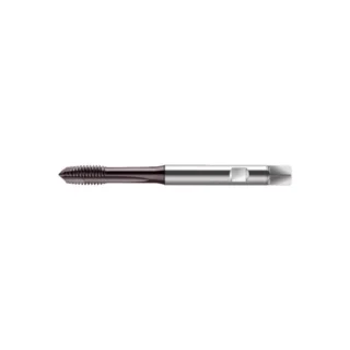 Original Walter S2021302-M2.5 Tap