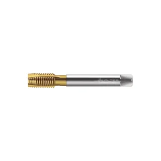 Original Walter EP2026305-M24 Tap