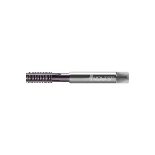 Original Walter 8031417-M8 Tap