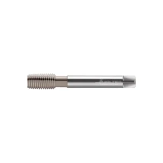 Original Walter E2066604-M12 Tap