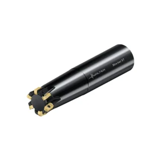 Original Walter M5008-032-A32-06-01 Tool Holder