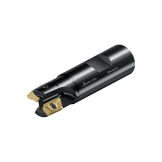 Original Walter M5130.019-W19-02-12 Tool Holder