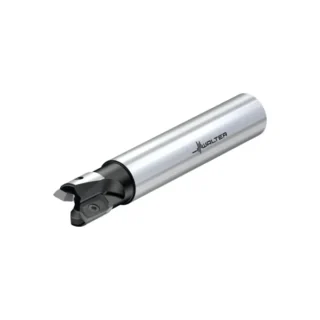 Original Walter M2131-025-A25-02-15-L Tool Holder