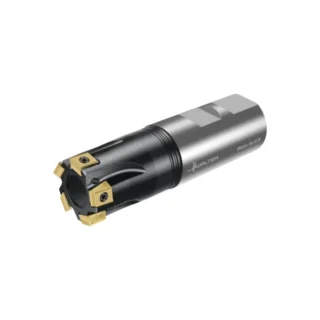 Original Walter F5041.W32.032.Z05.08 Tool Holder