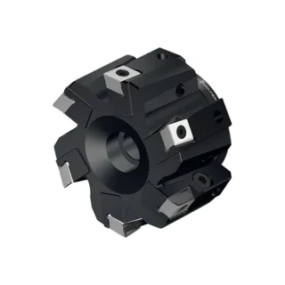 Original Walter F2010.B.080.Z06.12.R752M Tool Holder