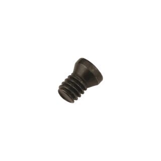 Original APT TF832-285 Carbide Insert - Triangle Torx® Screw TF832-285 Torx® Screw
